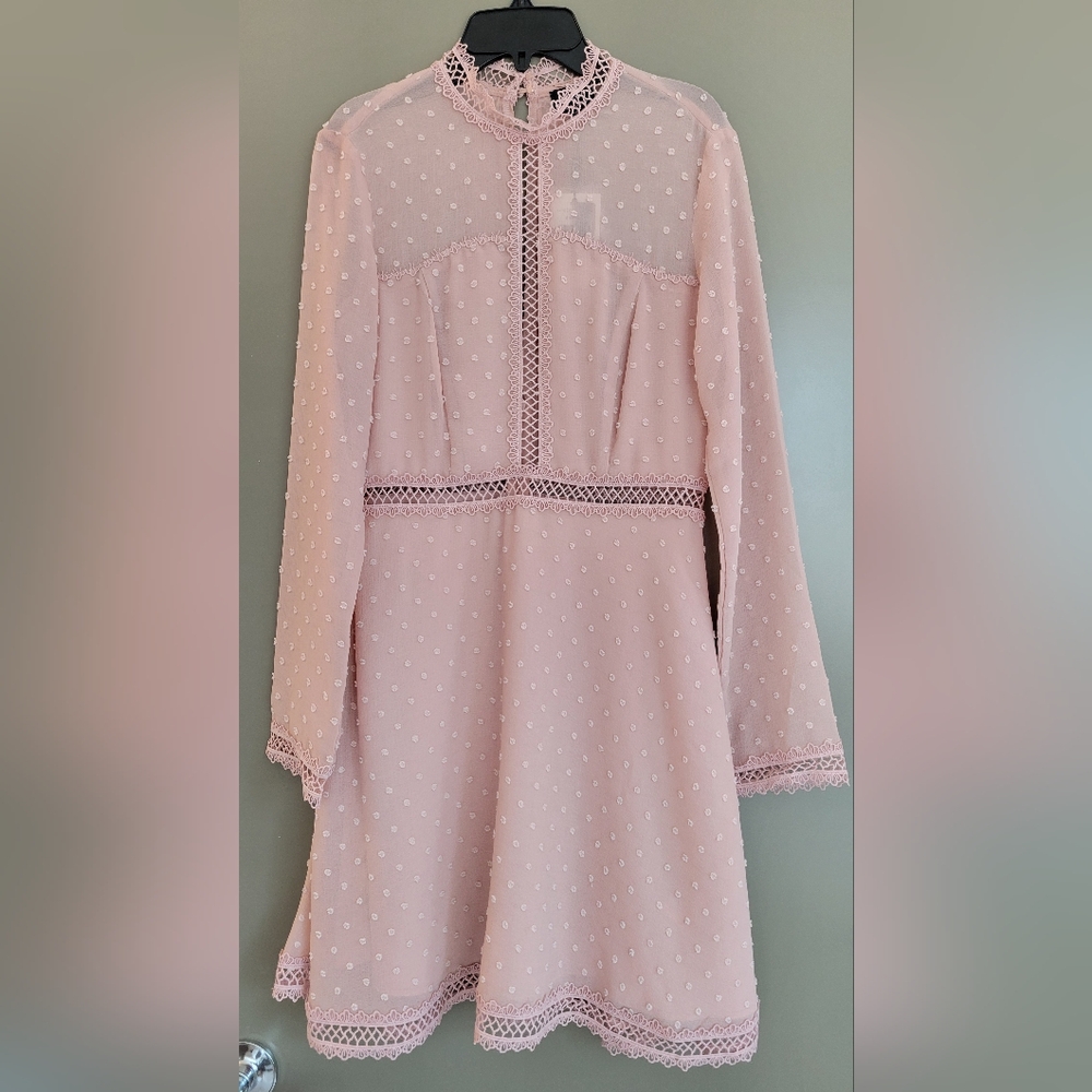 Bardot Cherie Latte Pink Dress (US 6/S)